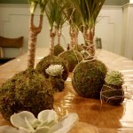taller presencial de kokedamas: plantas sin macetas, plantas originales en Madrid
